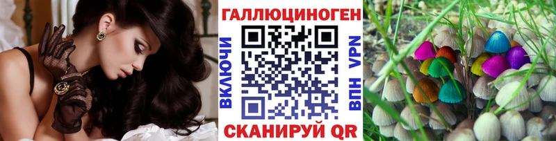 shop как зайти  Пенза  Галлюциногенные грибы Psilocybine cubensis 